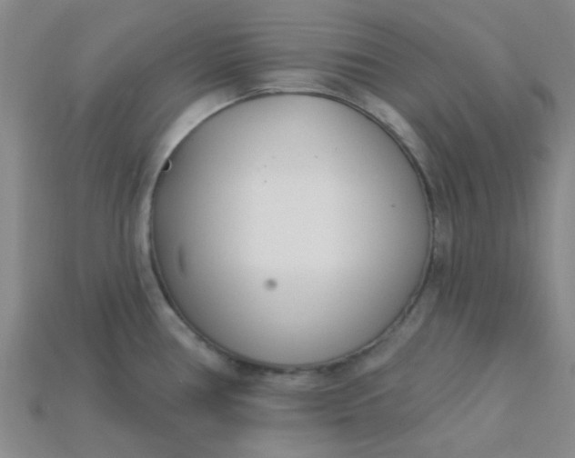 X0000115221386200911121916