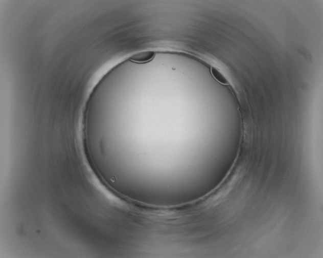 X0000115221387200911121916