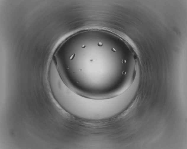 X0000115221388200911121916