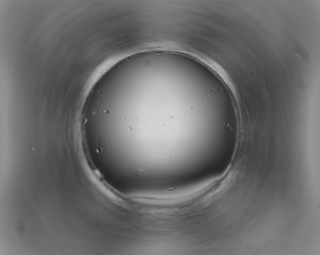 X0000115221389200911121916