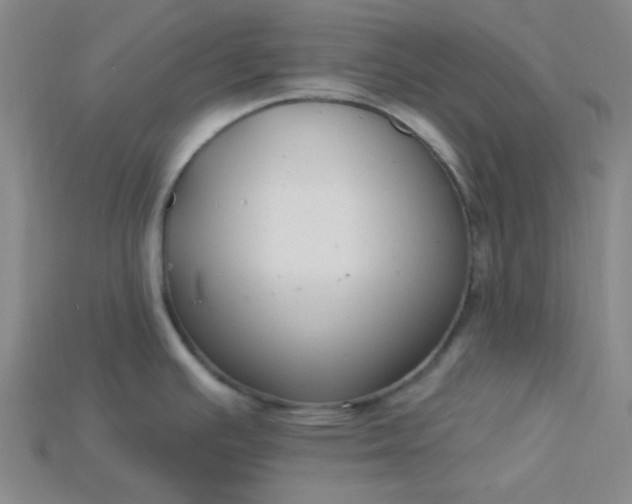 X0000115221391200911121916
