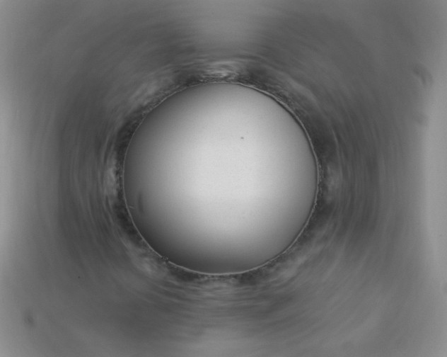 X0000115221394200911121915