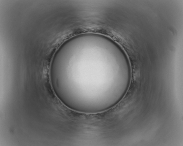 X0000115221397200911121915