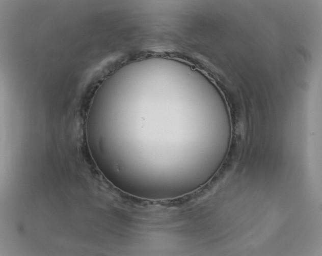 X0000115221398200911121915