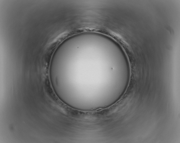 X0000115221399200911121915