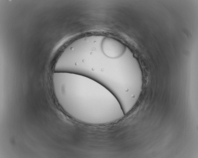 X0000115221400200911121915