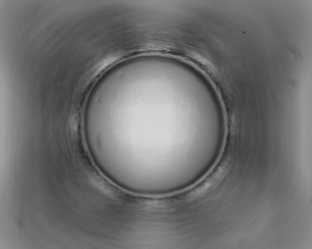 X0000115221401200911121915