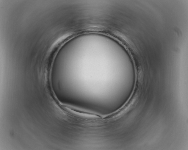 X0000115221402200911121915
