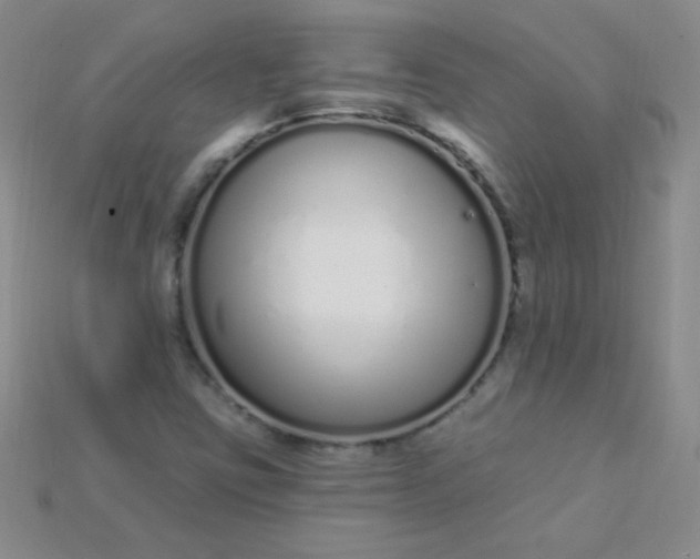 X0000115221403200911121915