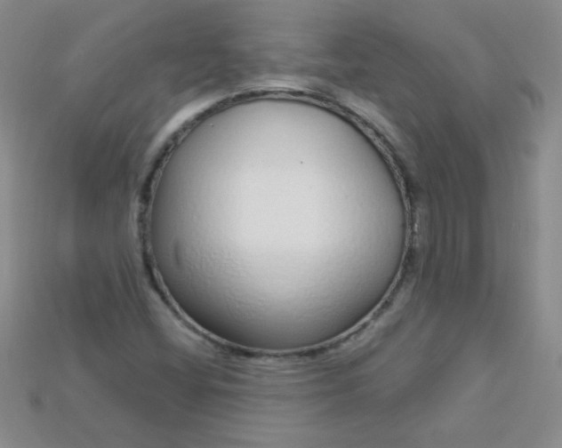 X0000115221404200911121915