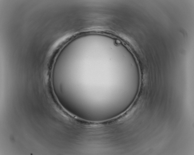 X0000115221406200911121915