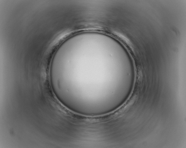 X0000115221407200911121915