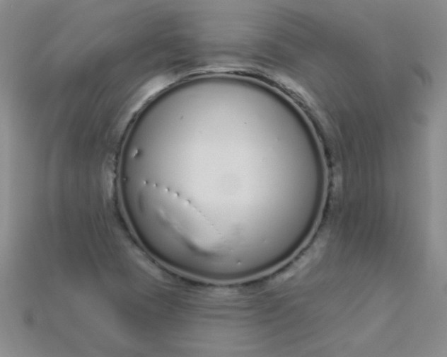 X0000115221409200911121915