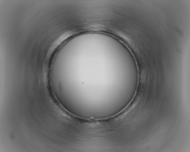 X0000115221410200911121915