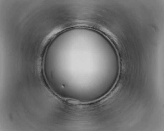 X0000115221411200911121915
