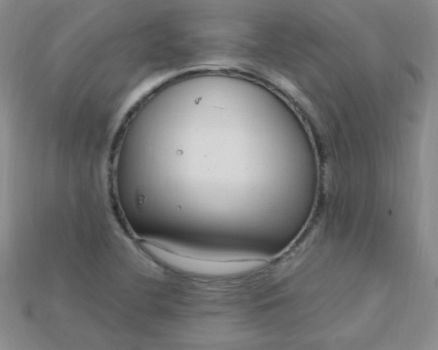 X0000115221412200911121915