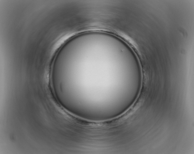X0000115221415200911121915