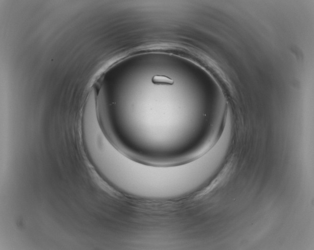 X0000115221417200911121915
