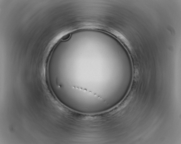 X0000115221419200911121915