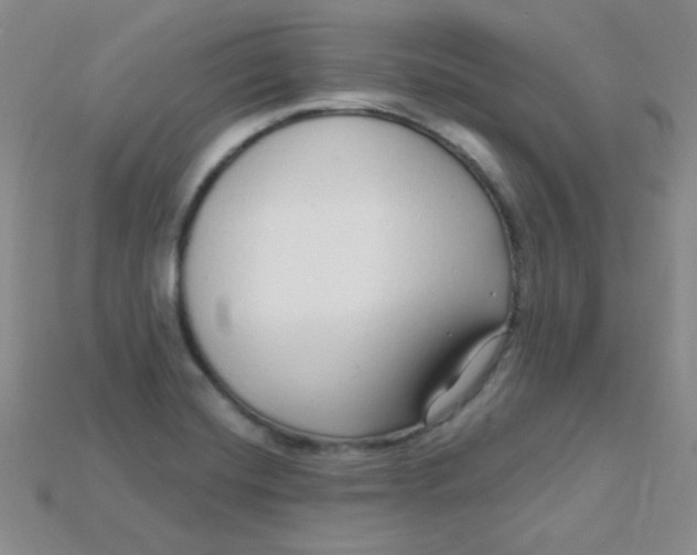 X0000115221420200911121915