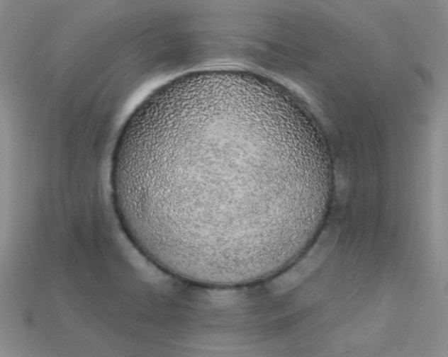 X0000115221422200911121915