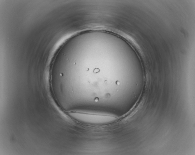 X0000115221424200911121915
