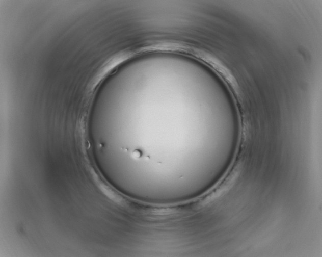 X0000115221425200911121915