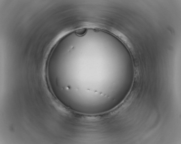 X0000115221427200911121915