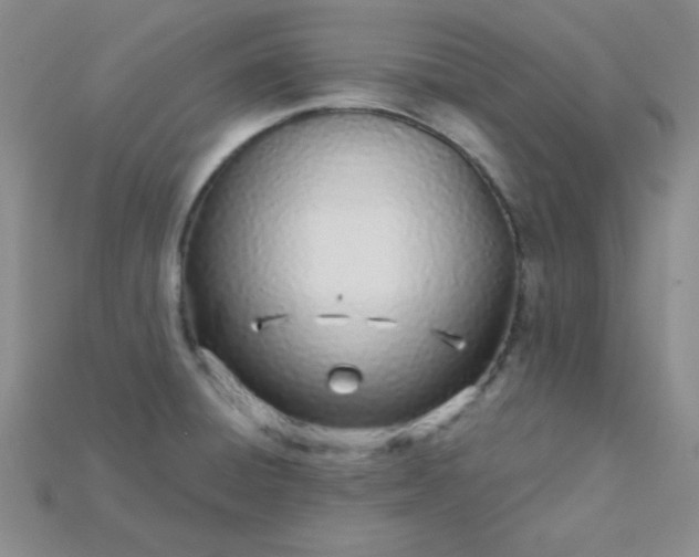 X0000115221428200911121915