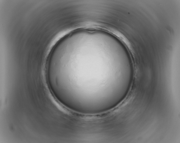 X0000115221429200911121915