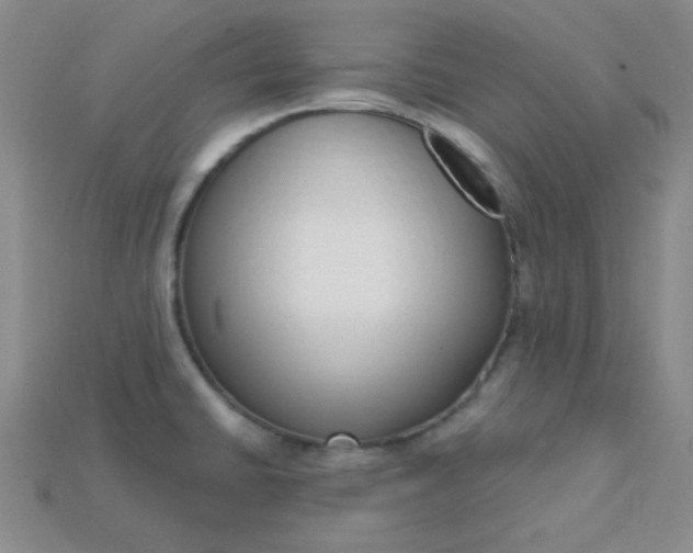 X0000115221430200911121915