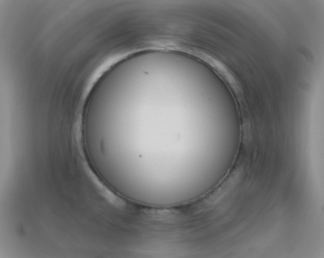 X0000115221432200911121915