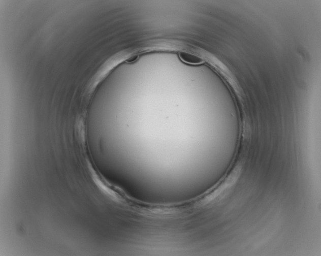 X0000115221433200911121916