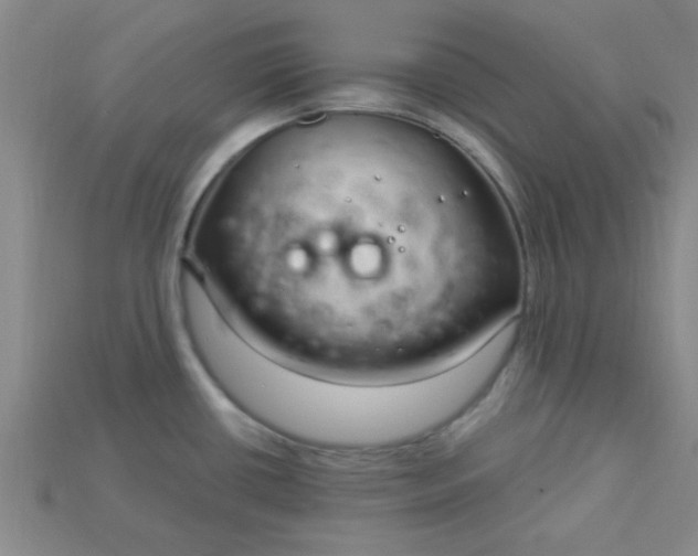 X0000115221434200911121916