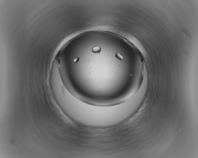 X0000115221436200911121916