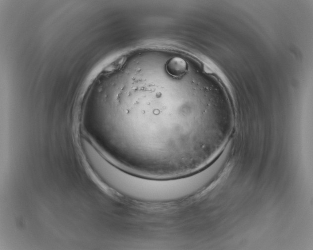 X0000115221437200911121916
