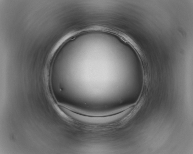 X0000115221438200911121916