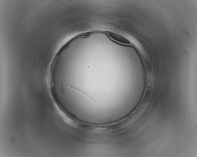 X0000115221439200911121916