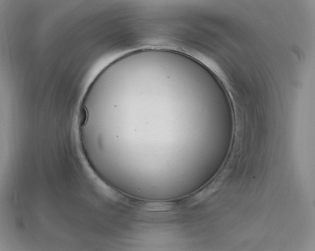 X0000115221440200911121916