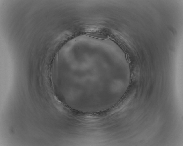 X0000115221441200911121915