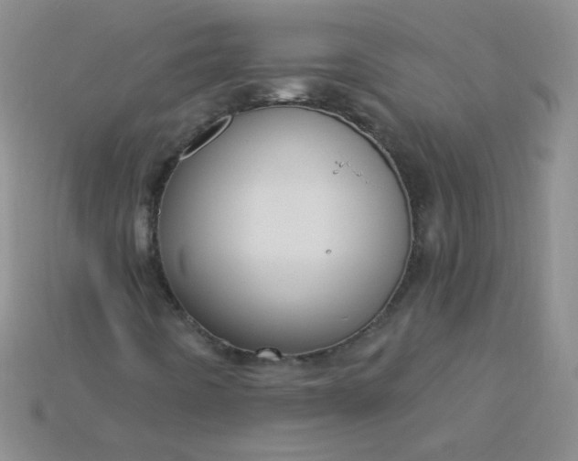 X0000115221442200911121915