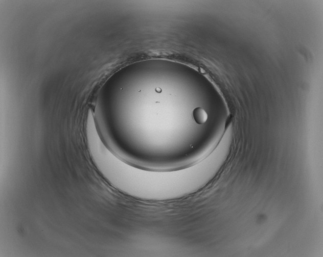 X0000115221444200911121915