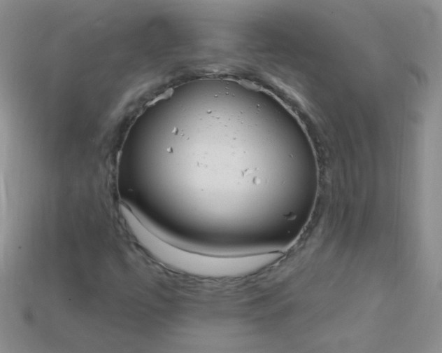X0000115221447200911121915