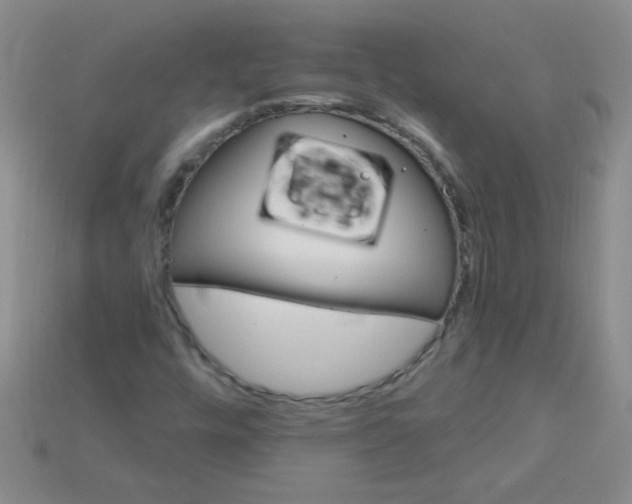 X0000115221448200911121915