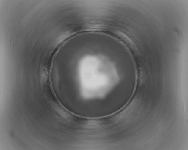 X0000115221449200911121915
