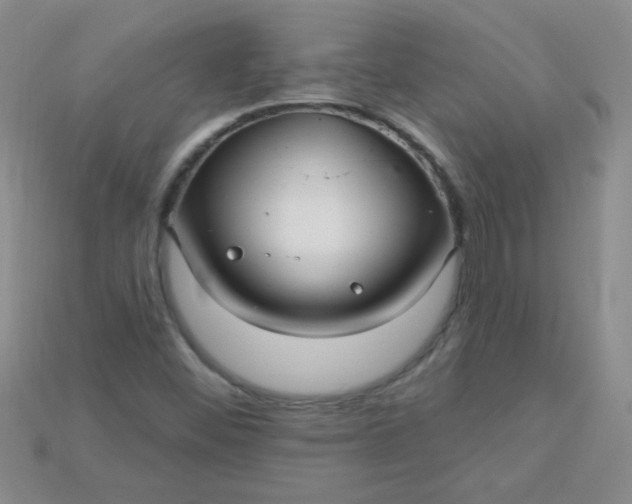 X0000115221452200911121915