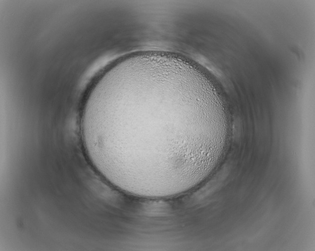 X0000115221454200911121915