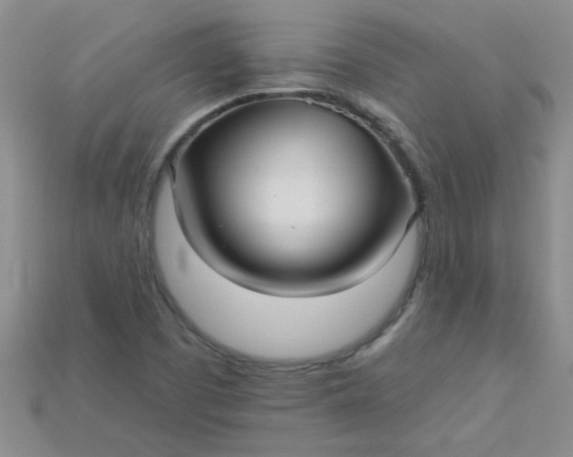 X0000115221457200911121915