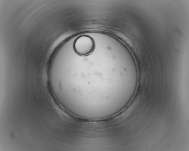 X0000115221458200911121915