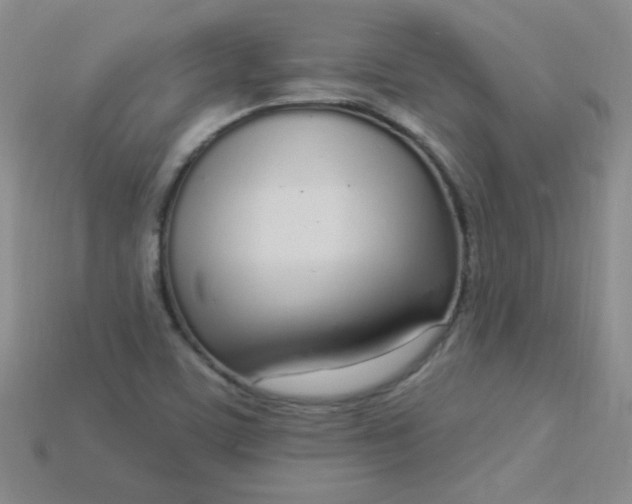 X0000115221459200911121915